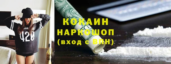 сатива Вяземский