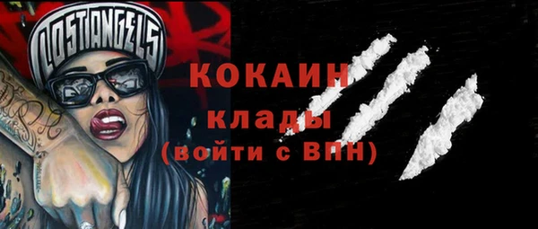 сатива Вяземский