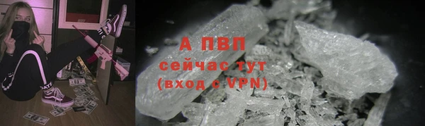 сатива Вяземский