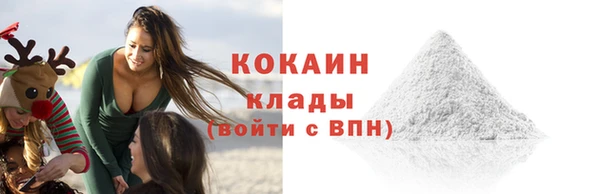 сатива Вяземский