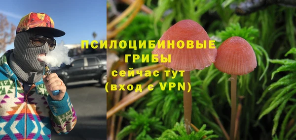 сатива Вяземский