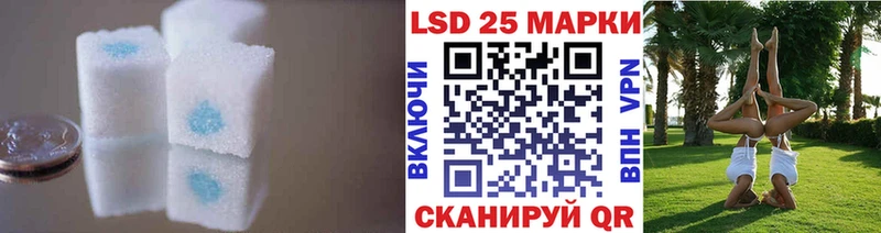 Купить закладки  Фрязино  LSD-25 экстази ecstasy 