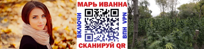Бошки марихуана Bruce Banner  Купить  Фрязино 